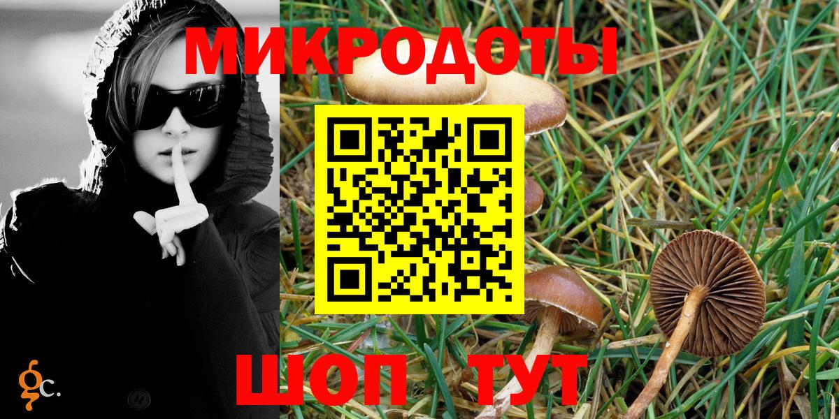 Псилоцибиновые грибы Cubensis Ирбит