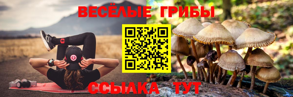 как найти закладки  Галлюциногенные грибы мухоморы  Вход с VPN  Ирбит 